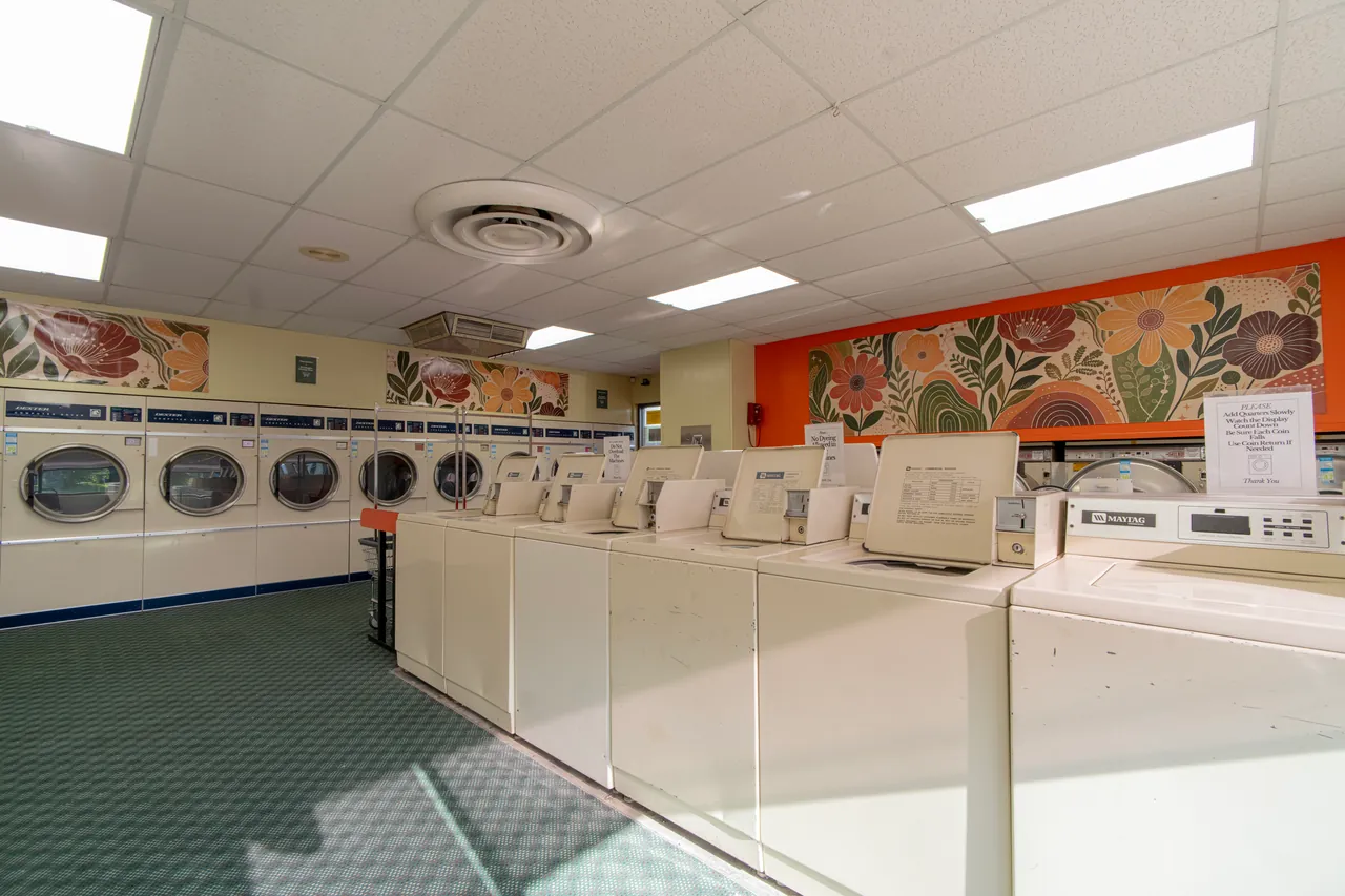 Rows of top-loading washers and front-loading machines beneath floral artwork